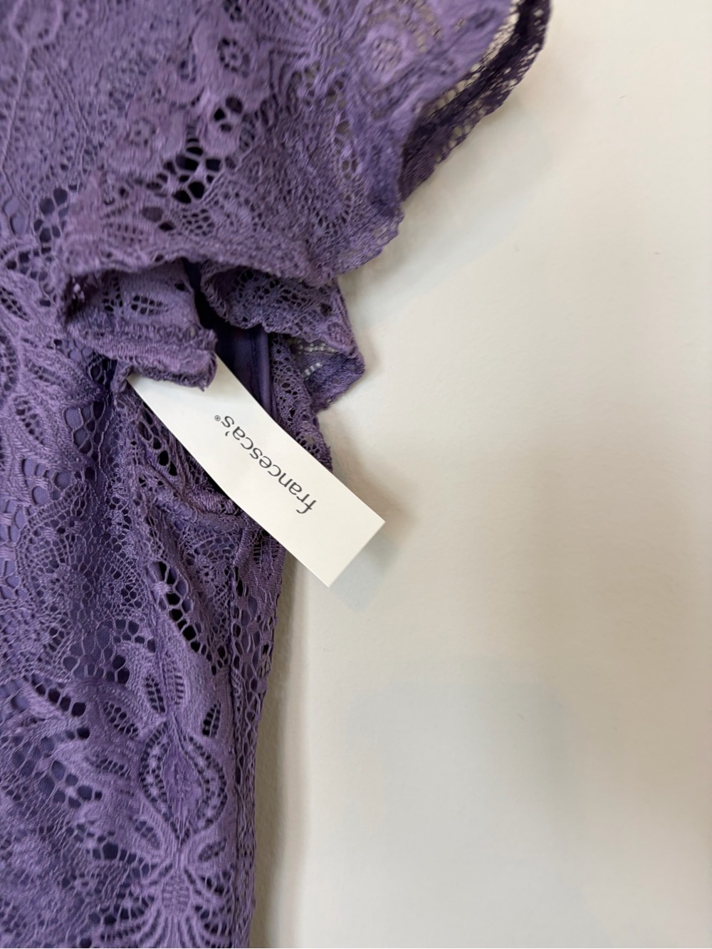 NWT Francesca's Collections Lavender Lace Mini Dress - Picture 4 of 4